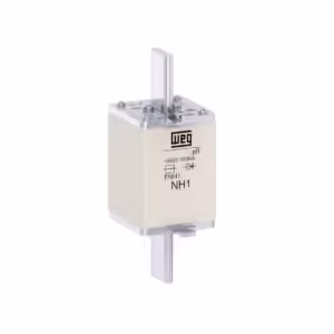 Fusibles Ultra Rápidos FNH1-100K-A